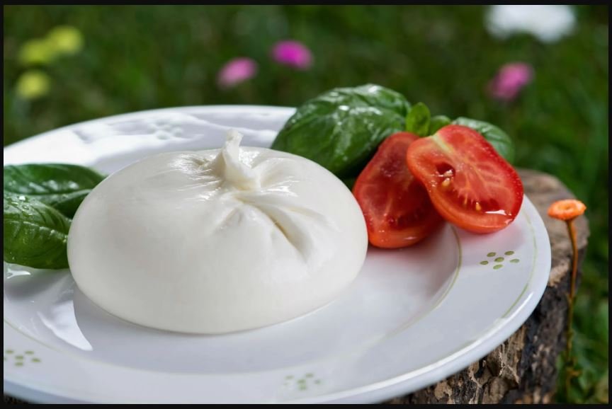 burrata