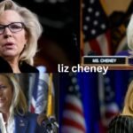 liz cheney